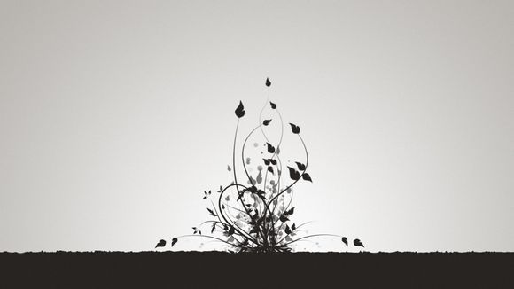 客厅花架摆放什么最好看