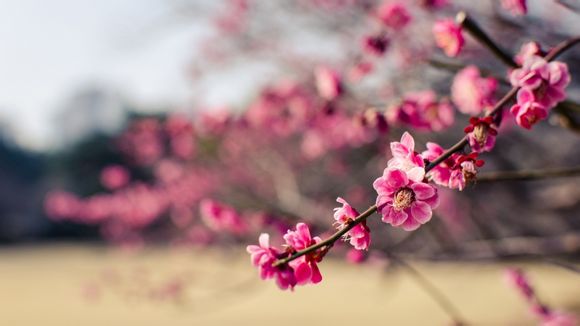 银行联动门系统是什么