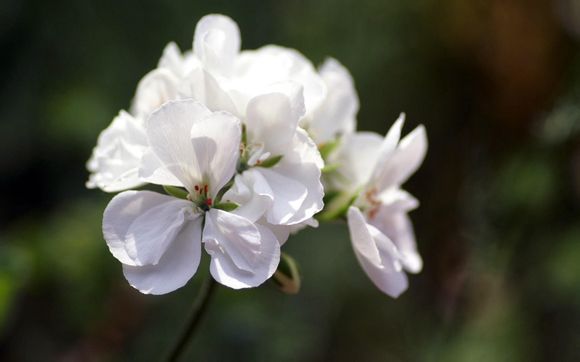 烟台水山机械怎么样